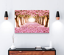 Obraz Stromy s ružovými kvetmi